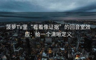 菠萝TV里“看着像证据”的回音室效应：给一个清晰定义
