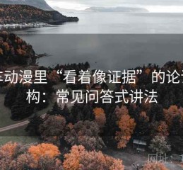 风车动漫里“看着像证据”的论证结构：常见问答式讲法