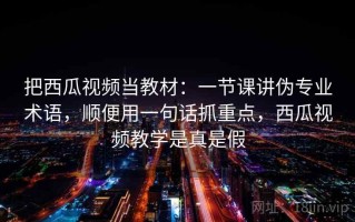 把西瓜视频当教材：一节课讲伪专业术语，顺便用一句话抓重点，西瓜视频教学是真是假