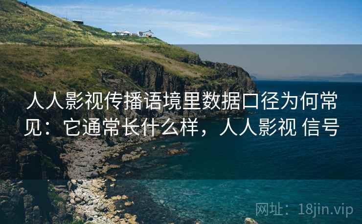 人人影视传播语境里数据口径为何常见：它通常长什么样，人人影视 信号